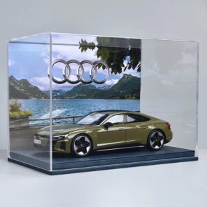 1/18 Audi RS E-tron GT With Display Case